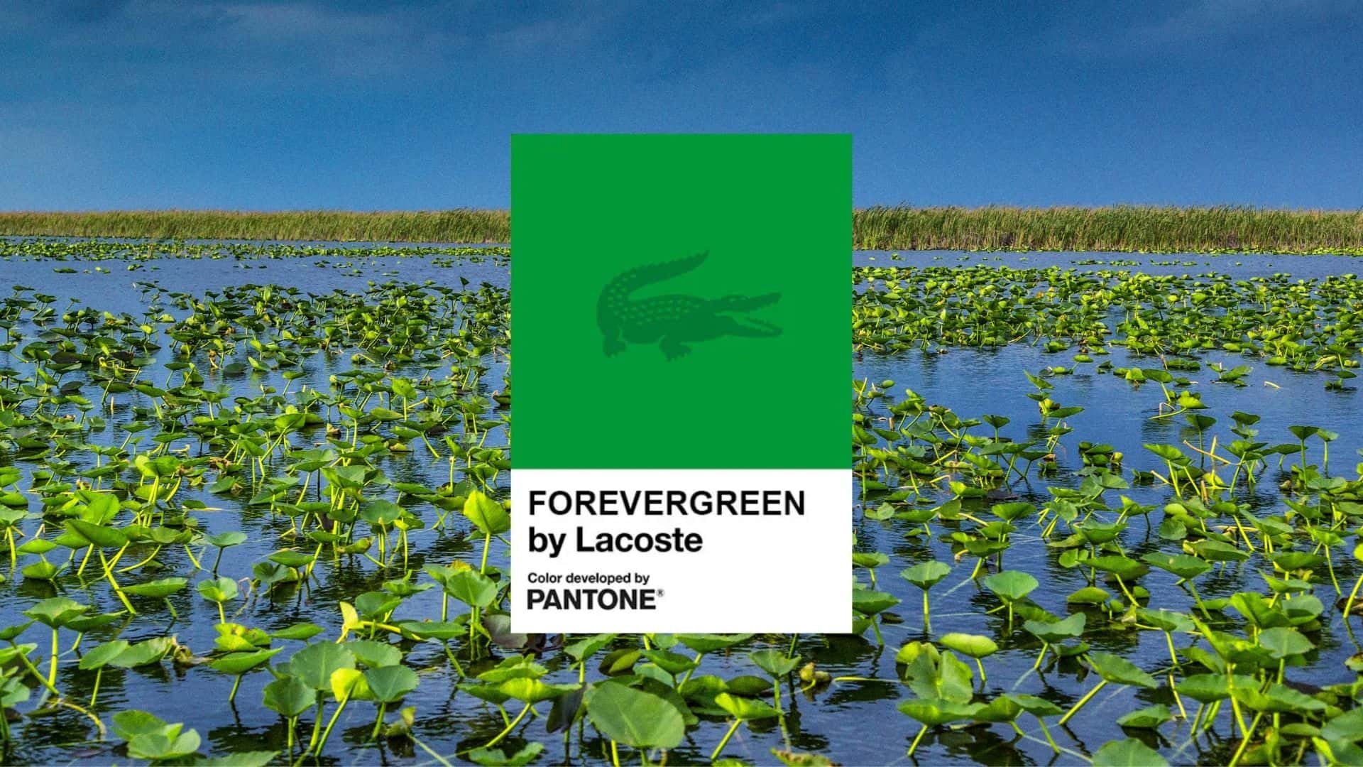 Pantone Forever Green Lacoste Everglade