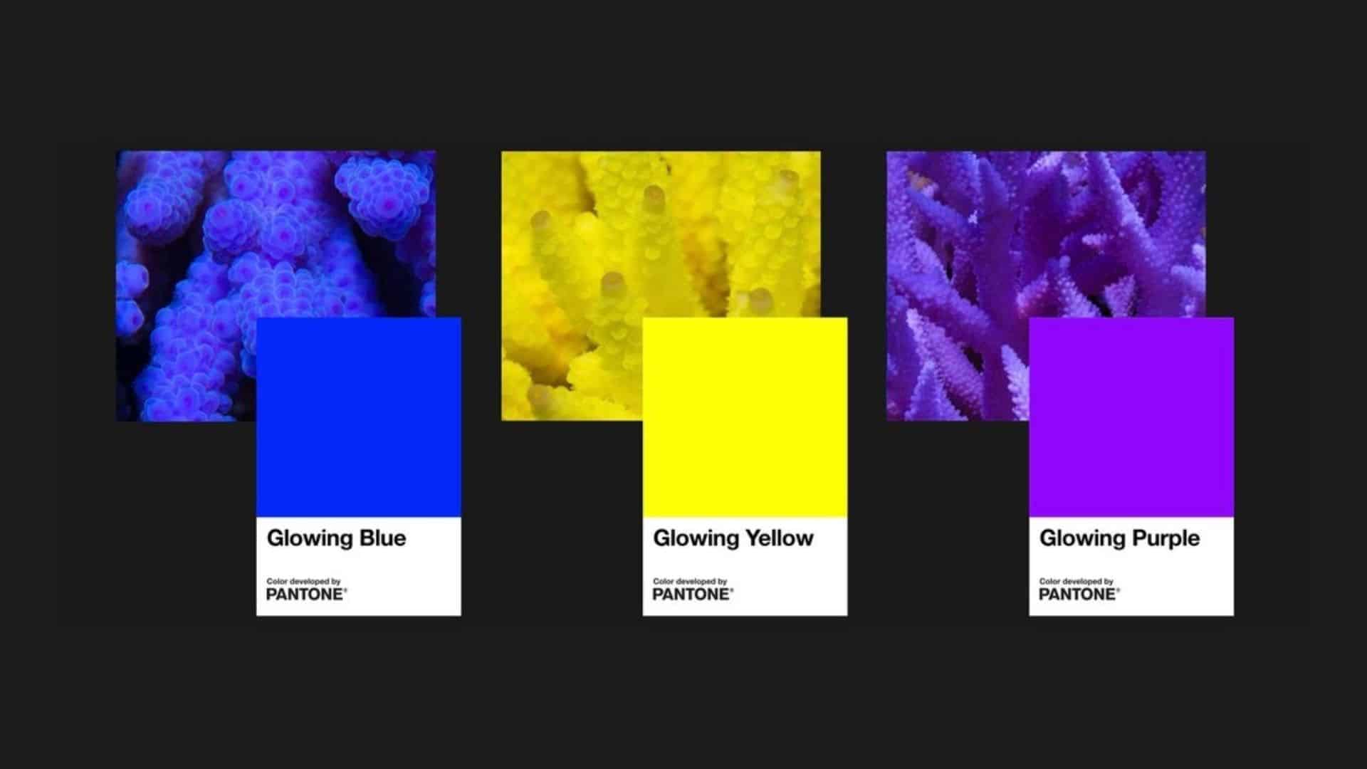 Pantone Glowing Gone Ocean Agency