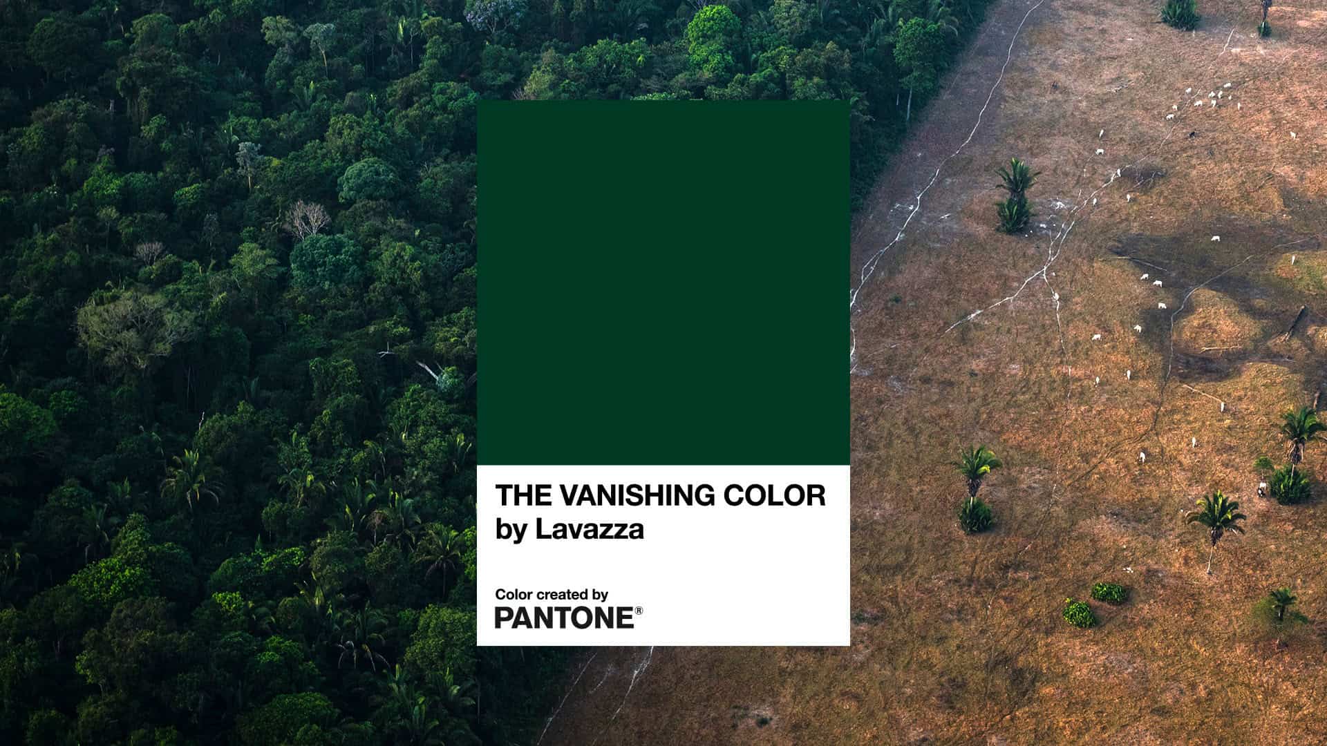 Pantone the Vanishing color Lavazza