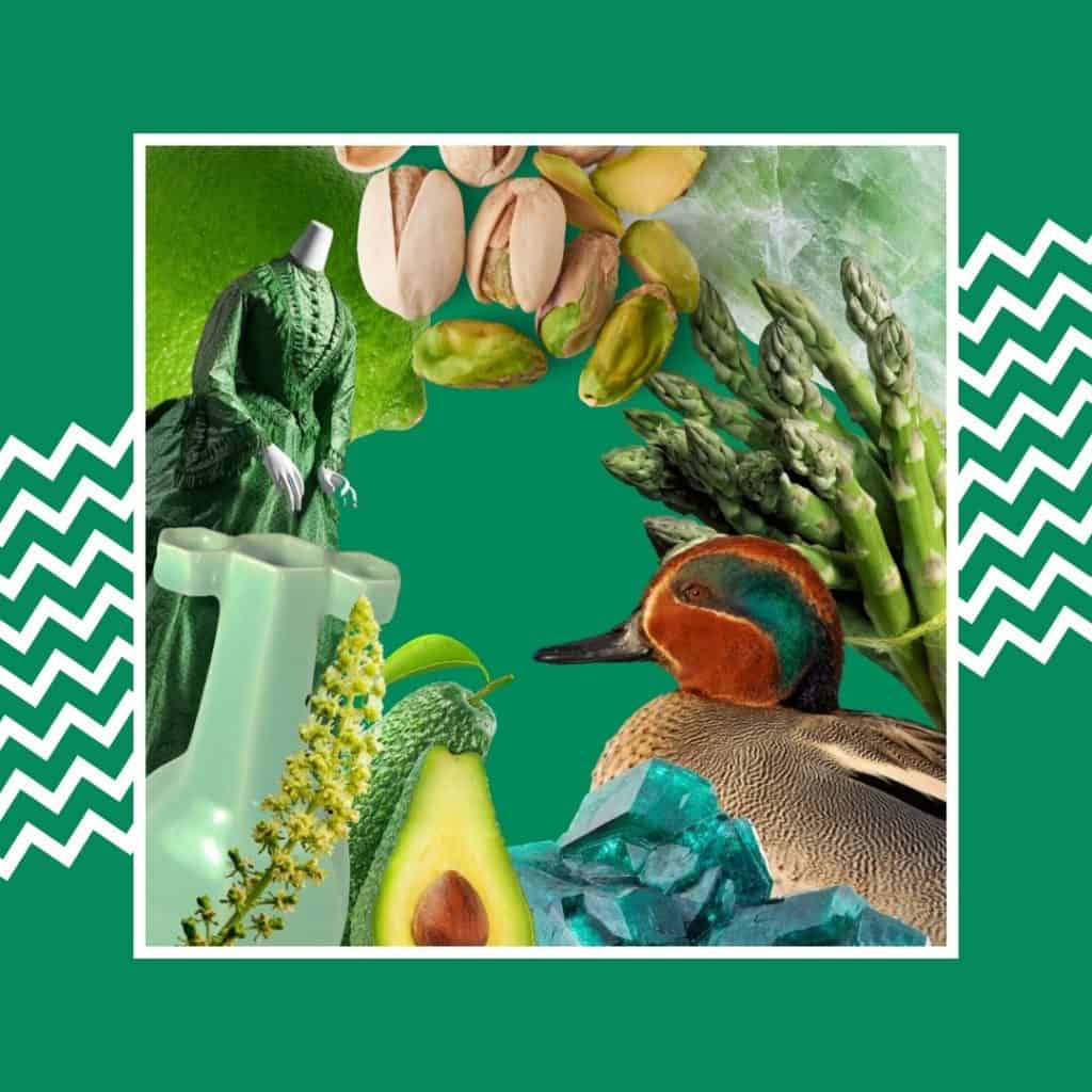 tonalità di verde