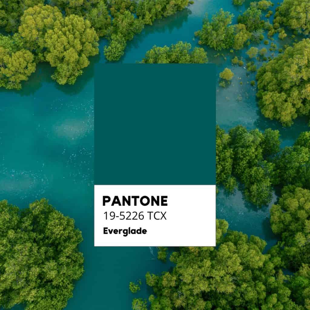 Giornata Mondiale delle Zone Umide, paesaggio Everglades