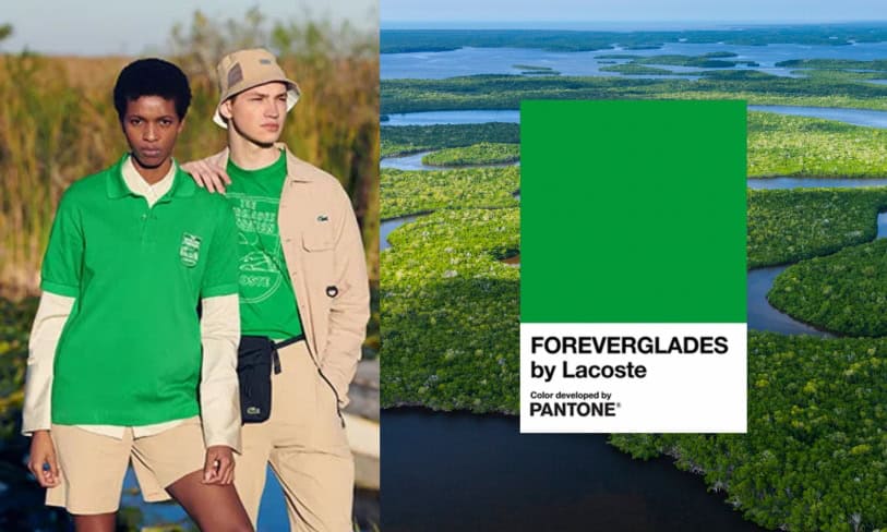 everglades forevergreen by lacoste