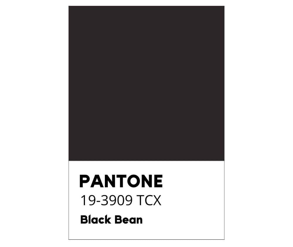 Black Bean - Fagiolo Nero - Colore Pantone