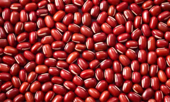 Fagioli Azuki legumi