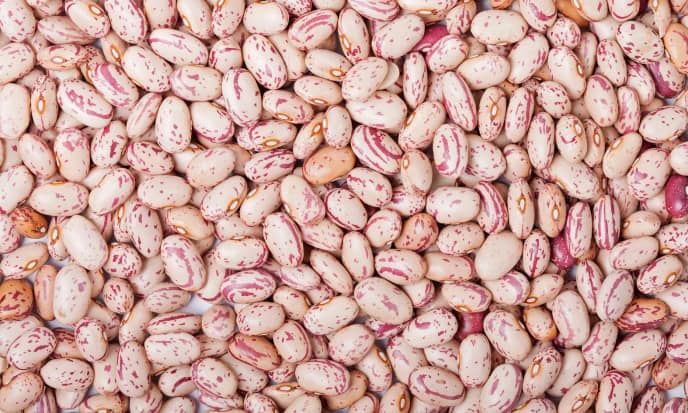 Fagioli Borlotti legumi
