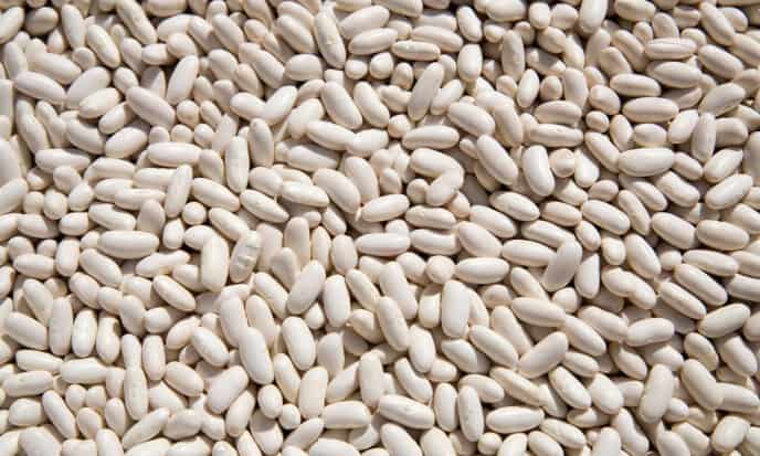 Fagioli Cannellini legumi