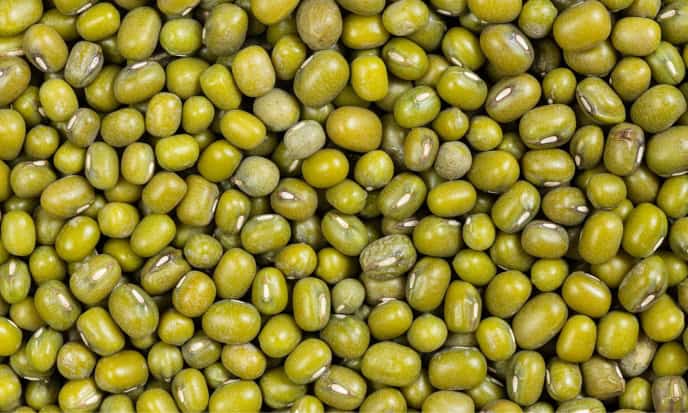 Fagioli Mung legumi