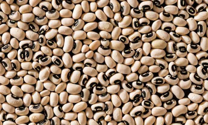 Fagioli dall'Occhio legumi