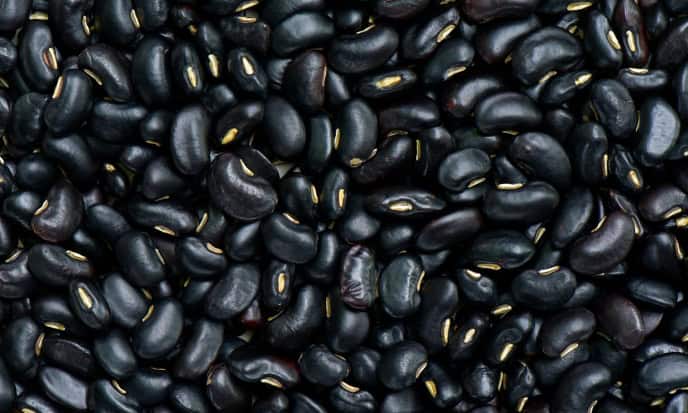 Fagioli Neri legumi