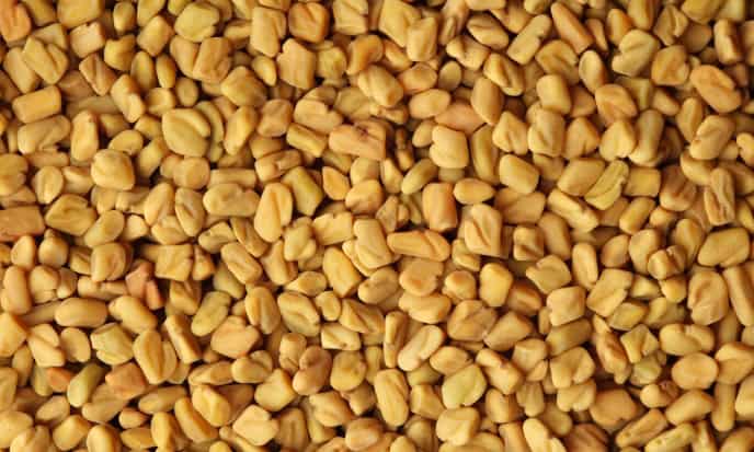 Fieno Greco legume
