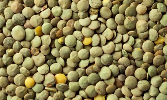 Lenticchie Verdi legumi