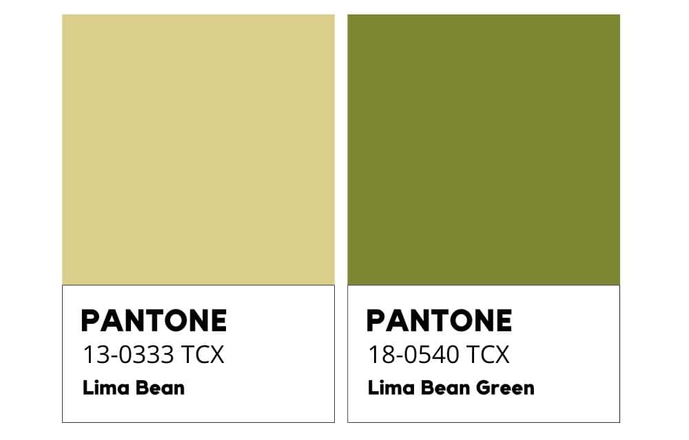Lima Bean - Fagiolo di Lima - Colore Pantone