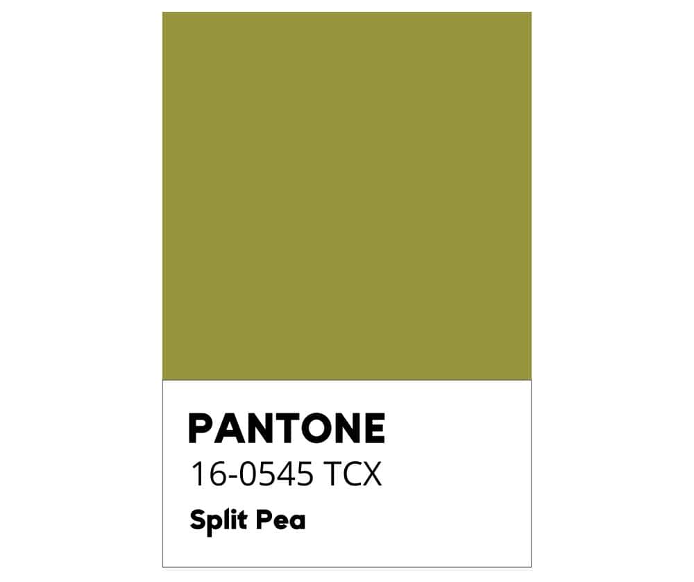Split Pea - Pisello Spezzato - Colore Pantone