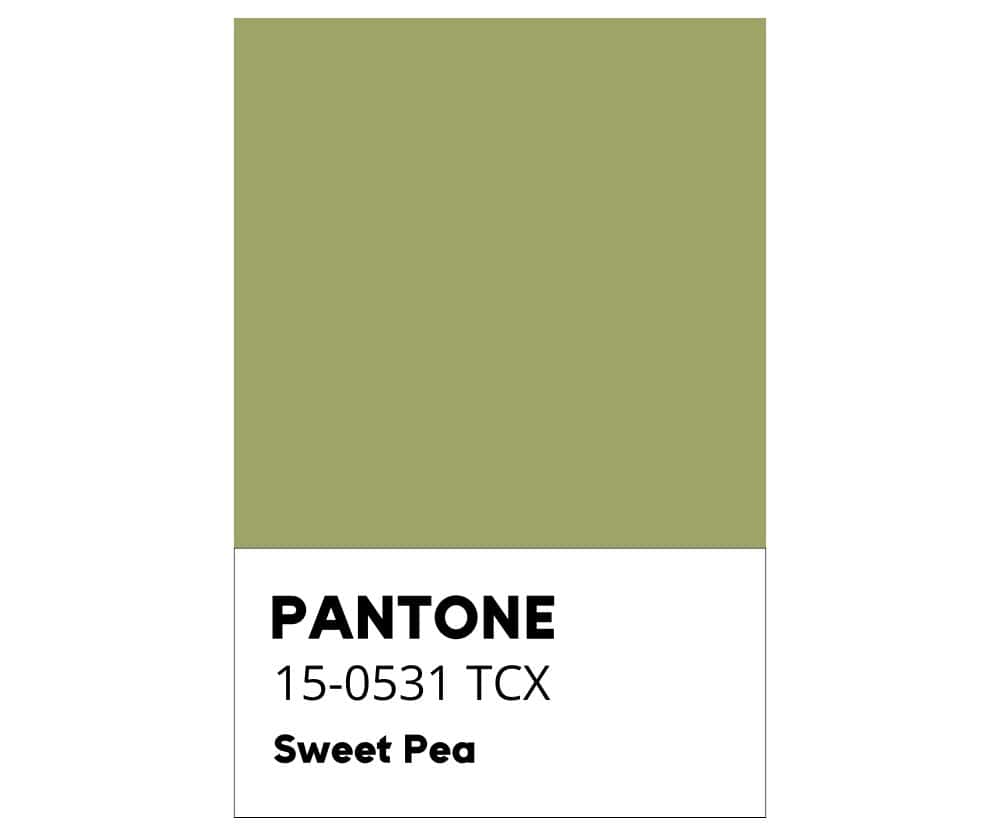 Sweet Pea - Pisello Odoroso - Colore Pantone