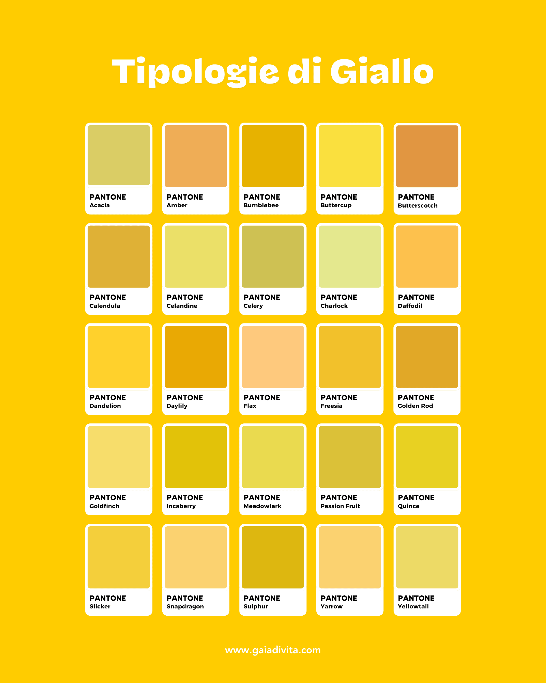 25 Tonalit Di Giallo PANTONE Color Packer I Gaia Di Vita