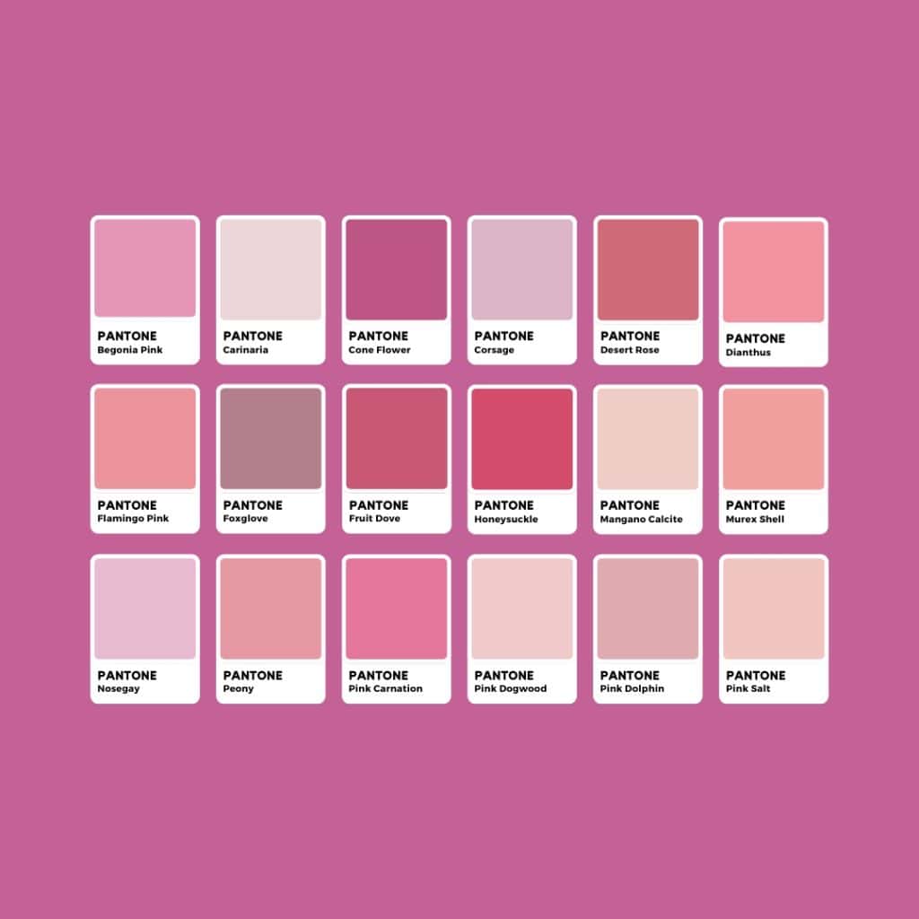 Tonalità di Rosa Pantone