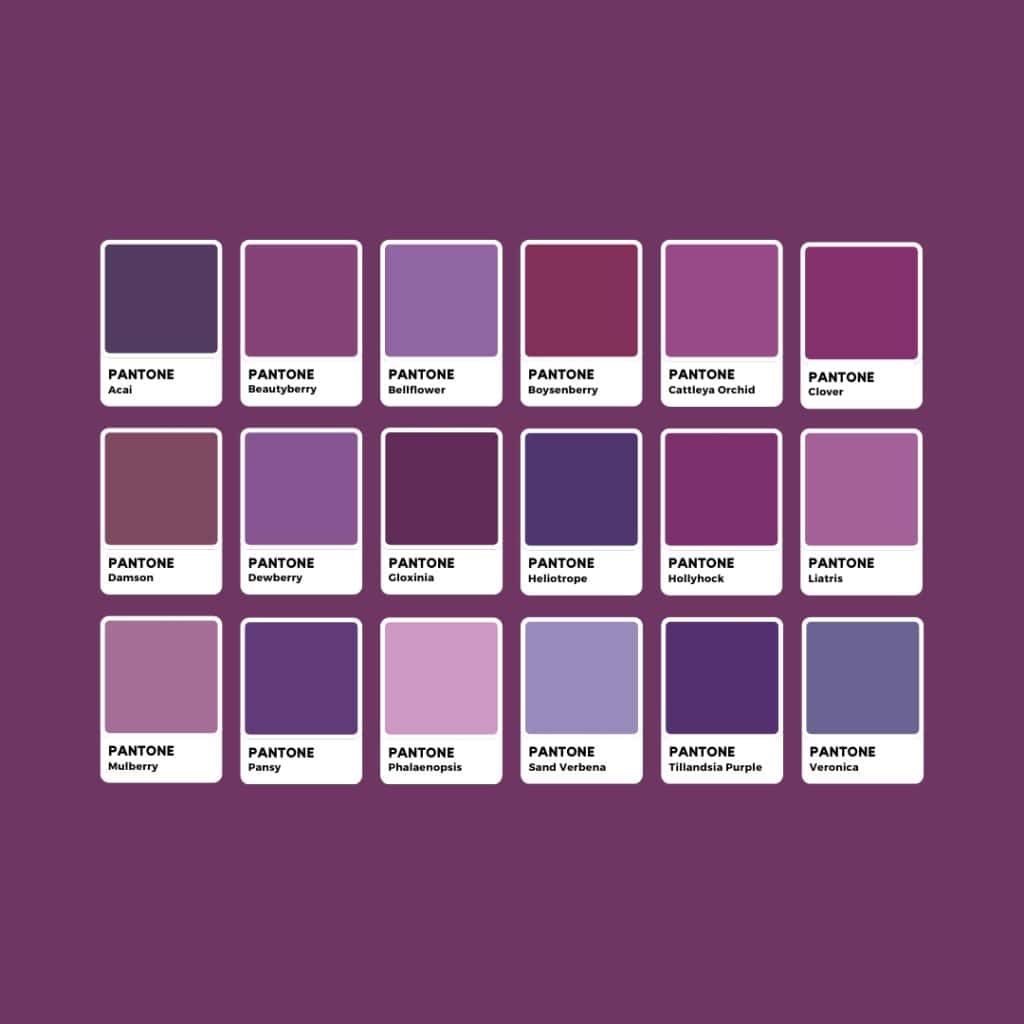 Tonalità di Viola Pantone