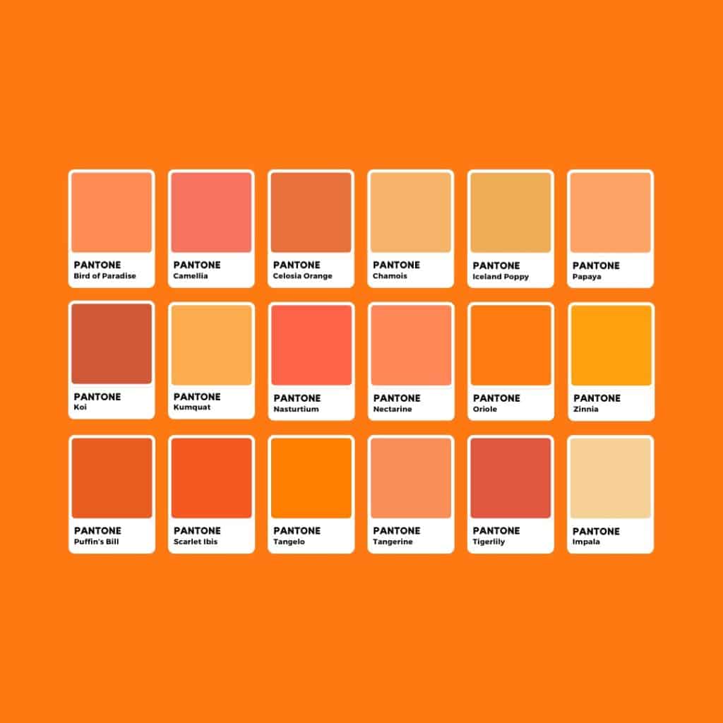 Tonalità di Arancione Pantone