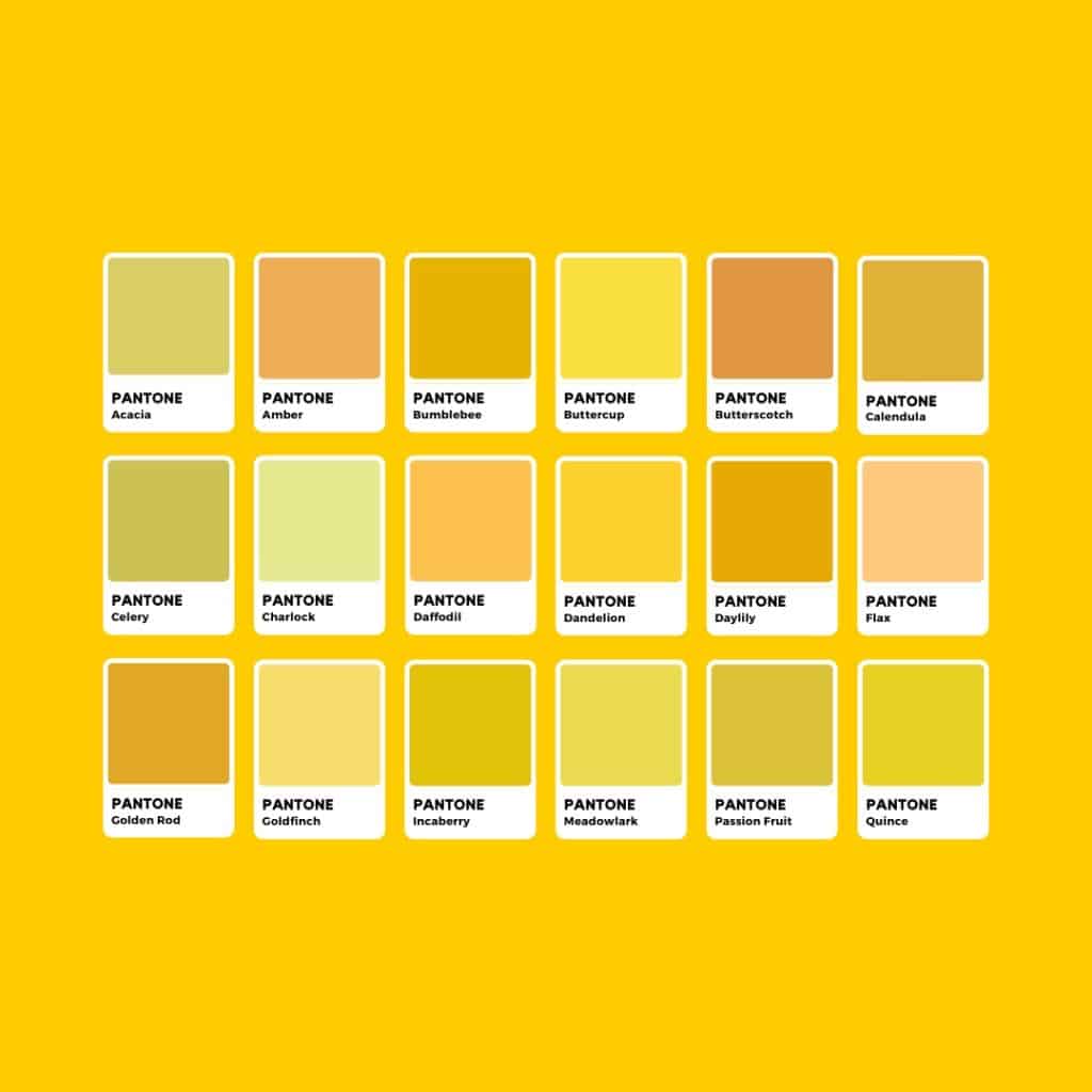 Tonalità di Giallo Pantone
