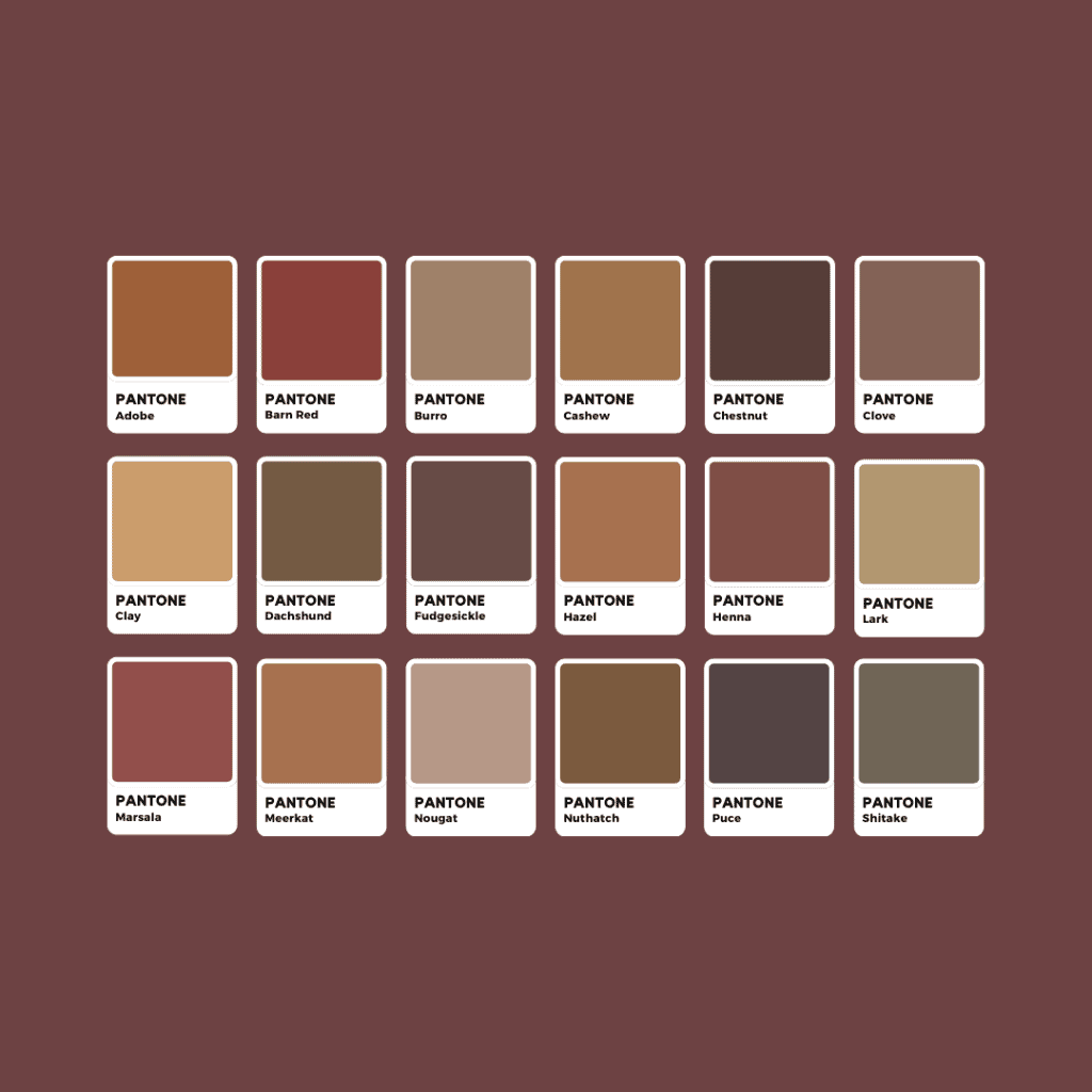 Tonalità di Marrone Pantone